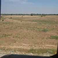 باغ-انگوری-غوره-منطقه-زیبا-هفت-برم