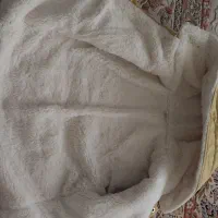 کاپشن|کفش و لباس بچه|قم, پردیسان|دیوار