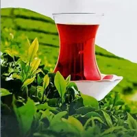 فروش چای لاهیجان