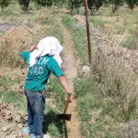 1350-متر-باغ-جنب-پمپ-بنزین-حصار-گرمخان