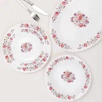 ارکوپال، اکروپال، پارس اپال 120 ابی|ظروف سرو و پذیرایی|قم, نیروگاه|دیوار