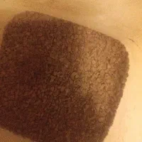 قهوه دله عربی