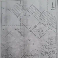 زمین-شهری-شکاری-121-متری-قیمت-کاسبی