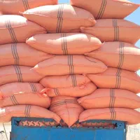 فروش کاه لوبیا درجه یک
