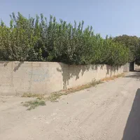 زمین خوش قیمت،لوکیشن تاپ،ویلاشهرکی.تهراندشت.سرخاب|فروش زمین و ملک کلنگی|هشتگرد, تهران دشت|دیوار