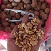 گردوی ایرانی اصیل پر چرب مقوی|خوردنی و آشامیدنی|فاروج, |دیوار