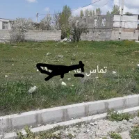 زمین دونبش سندار نیروی انتظامی|فروش زمین و ملک کلنگی|مشگین شهر, |دیوار