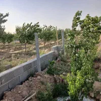 باغچه ۲۰۰ متری زعفرانیه دولت آباد محمد آباد