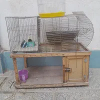 قفس پرنده|لوازم جانبی حیوانات|مشهد, شهرک مهر آباد|دیوار