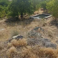 سویت ۵۰ متری