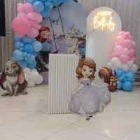 بادکنک آرایی گل آرایی و دیزایین عاطفه پورسیف|خدمات پذیرایی، مراسم|خرمآباد, |دیوار