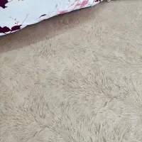 مبلمان|مبلمان خانگی و میز عسلی|جهرم, |دیوار