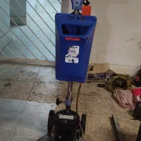 فرچه زمین شور