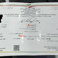 صدور جواز صنفی قانونی