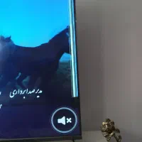 تلویزیون جی پلاس ۵۰ اینچ هوشمند|تلویزیون و پروژکتور|بروجرد, |دیوار