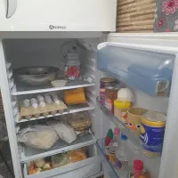 یخچال فیلور|یخچال و فریزر|قم, شهر قائم|دیوار