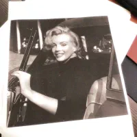 ساخت زیباترین پوسترها و استیکرها