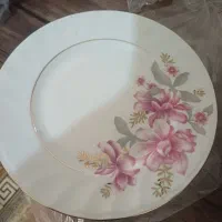 بشقاب پلوخوری و خورشت خوری|ظروف سرو و پذیرایی|رباطکریم, رباطکریم|دیوار