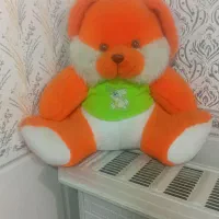 عروسک|کلکسیون اشیاء عتیقه|رباط‌کریم, نصیرشهر|دیوار