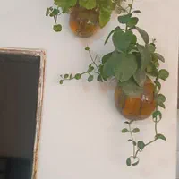 اجاره ویلا کوتاه مدت|اجارهٔ کوتاه‌مدت ویلا و باغ|کرج, برغان|دیوار