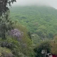 یه تور شاد  شمال بریم