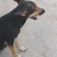 7000000