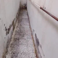 منبع شویی کف شویی تابلو شویی رنگ آمیزی پارکینگ|خدمات نظافت|بندر انزلی, سپه|دیوار