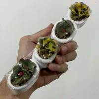 گلدان مصنوعی منیاتوری کاکتوس ۴ عددی