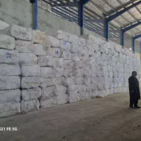 فروش پنبه تسویه شده