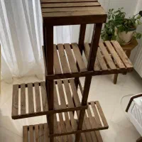 پایه گل|گل و گیاه طبیعی|بجنورد, |دیوار