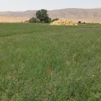 اجاره زمین کشاورزی