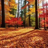 جویای کار (جوان صادق)