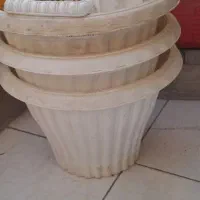 گل طبیعی حسن یوسف واکلونمابرفی وفروش گلدانهای خالی|گل و گیاه طبیعی|تهران, خرمشهر|دیوار