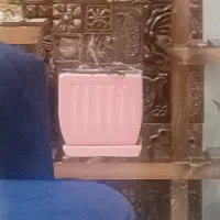 گلدان سالم و مرتب