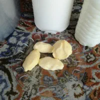 شیر دوغ کره ماست
