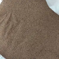 بزریونجه،تخم یونجه