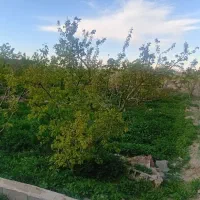 باغچه-حصارساتی