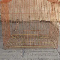 فروش قفس پرنده