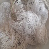 تور ماهیگیری
