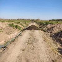 کود گوسفندی درجه یک پول دو گونی کود|خدمات باغبانی و درختکاری|باروق, |دیوار