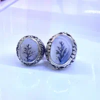 شجر تک درخت بی ایراد رکاب زنجان