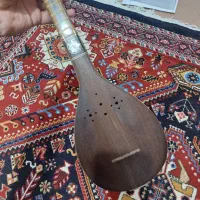 سه تار ارجینی