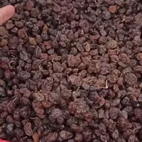 کشمش درگز کشمش آفتابی کشمش گله کشمش پلویی تیزابی|خوردنی و آشامیدنی|مشهد, الهیه|دیوار