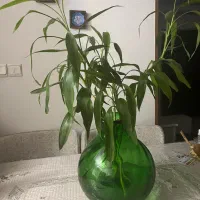 گلدان