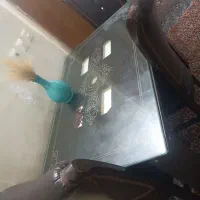 میز غذاخوری|میز و صندلی غذاخوری|زنجان, |دیوار