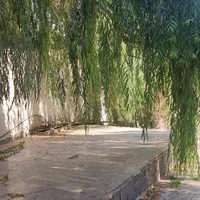 ۲ عدد باغچه ۴۰۰و ۶۰۰متری چهارباغ