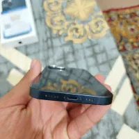 آیفون 13 نرمال|موبایل|کازرون, |دیوار