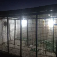 جوشکارسیار