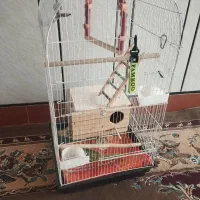 قفس بزرگ پرنده