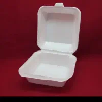 ظرف یکبار مصرف گیاهی